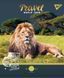 Тетрадь А5 48 Кл. YES Wild Animals - 3