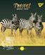 Тетрадь А5 48 Кл. YES Wild Animals - 5