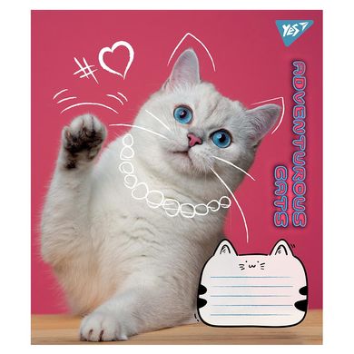 Тетрадь школьная Yes Adventurous cats 24 листов клетка - 1