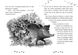 Книга серії: Несерійний "Ліс незвичайних тварин" Еллі Беннет Ранок - 3