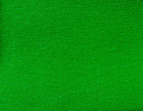 Бумага гофрированная 1Вересня светло-зеленая 110% (50см*200см) - 1