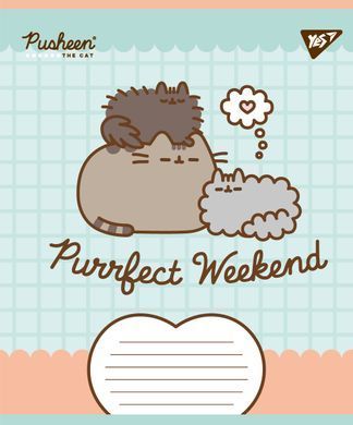 Тетрадь ученическая школьная Yes Pusheen Weekend А5 12 листов косая линия - 3