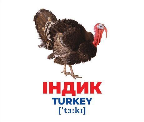 Геній з пелюшок.Свійські тварини - 3