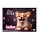 Альбом для рисования YES Dogs А4 20 листов с перфорацией - 2