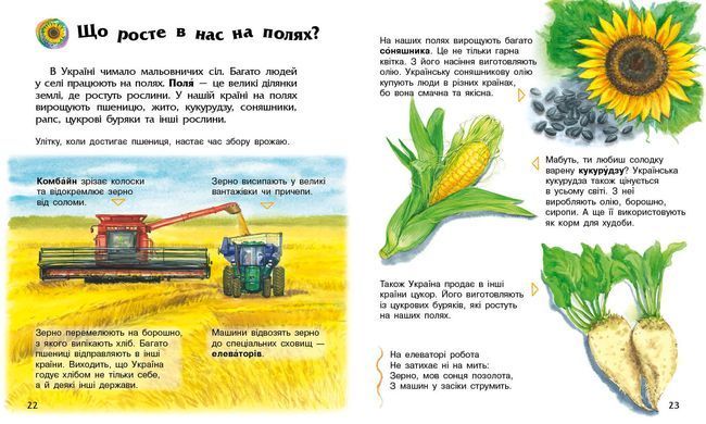 Україна - 4