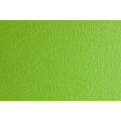 Папір для дизайну Colore B2 (50*70см), №30 verde piselo, 200г/м2, салатовий, дрібне зерно, Fabriano - 1