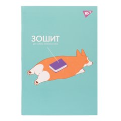 Тетрадь для записи иностранных слов, интегр., софт-тач + УФ-выб. "Corgi butt" YES - 1