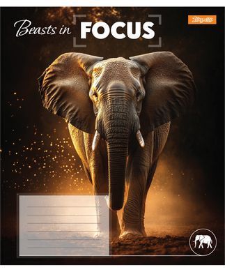 Тетрадь ученическая школьная 1 Вересня Beasts in Focus А5 24 листов клетка - 5