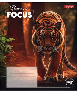 Тетрадь ученическая школьная 1 Вересня Beasts in Focus А5 24 листов клетка - 2