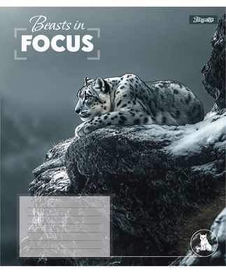 Тетрадь ученическая школьная 1 Вересня Beasts in Focus А5 24 листов клетка - 6