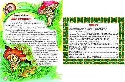 Книга серії: Промінець "Зустріч з казкою" - 2