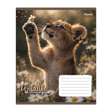 Тетрадь школьная 1Вересня Wildlife is beautiful А5 18 листов клетка - 2