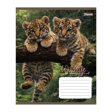 Тетрадь школьная 1Вересня Wildlife is beautiful А5 18 листов клетка - 4
