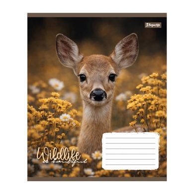 Тетрадь школьная 1Вересня Wildlife is beautiful А5 18 листов клетка - 5