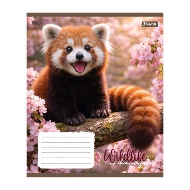 Тетрадь школьная 1Вересня Wildlife is beautiful А5 18 листов клетка - 6