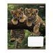 Тетрадь школьная 1Вересня Wildlife is beautiful А5 18 листов клетка - 4