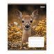 Тетрадь школьная 1Вересня Wildlife is beautiful А5 18 листов клетка - 5