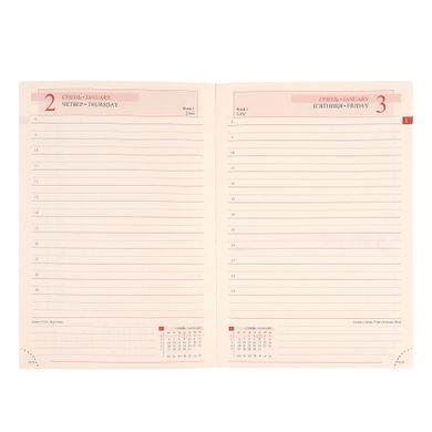 Ежедневник А5 Leo Planner датированный 2025 Stemma 368 стр - 7