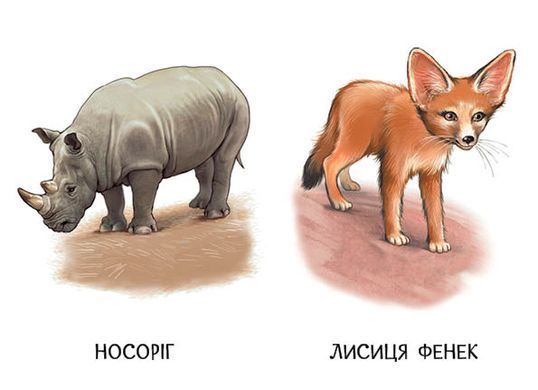 Прогулянка зоопарком - 3