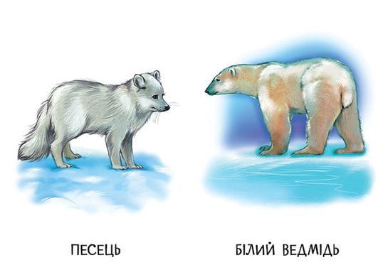 Прогулянка зоопарком - 4