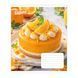 Тетрадь школьная 1Вересня Cake А5 24 листов клетка - 6