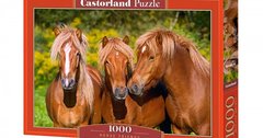 Пазли 1000 дет. "Horse friends" Castorland - 1