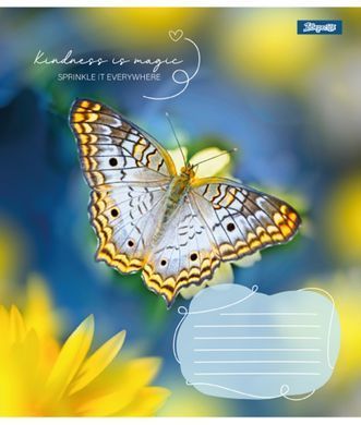 Зошит шкільний 1B Butterfly А5 24 аркушів клітинка - 2