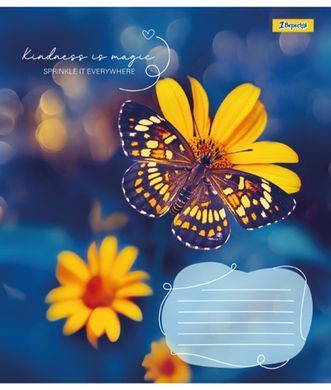 Зошит шкільний 1B Butterfly А5 24 аркушів клітинка - 5