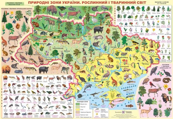 Плакат картонний В2 "Природні зони України.Рослинний і тваринний світ" Підручники і посібники - 1