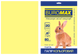 Бумага цветная PASTEL, желтая, 20 л., А4, 80 г/м&sup2; - 2