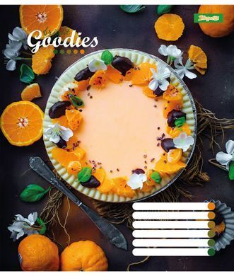 Зошит для записів 1В Bright goodies А5 96 аркушів лінія - 5