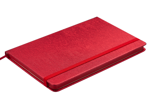 Блокнот деловой INGOT, LOGO2U, 125x195 мм, 80 л., клетка, красный, иск. кожа - 3