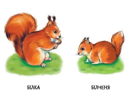 Мами і дитинчата - 4