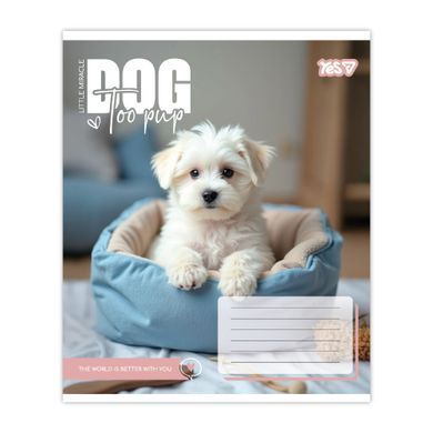 Тетрадь школьная Yes Dog too pup А5 12 листов клетка - 4