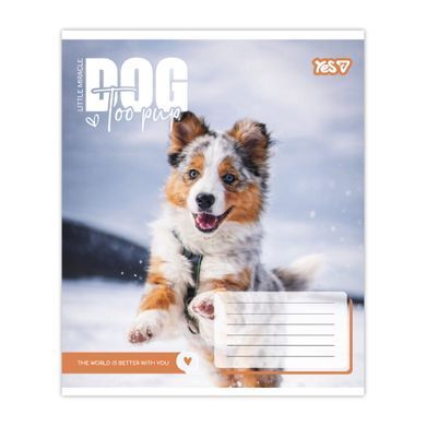 Тетрадь школьная Yes Dog too pup А5 12 листов клетка - 5