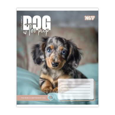 Тетрадь школьная Yes Dog too pup А5 12 листов клетка - 2