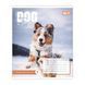 Тетрадь школьная Yes Dog too pup А5 12 листов клетка - 5