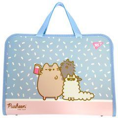 Папка-портфель Yes FC на блискавці з тканинними ручками Pusheen - 1