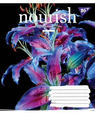 Тетрадь А5 96 Кл. YES Nourish - 3