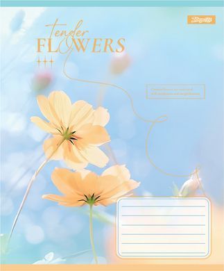 Тетрадь ученическая общая 1 Вересня Tender FlowersА5 96 листов клетка - 3