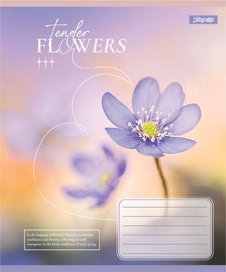 Тетрадь ученическая общая 1 Вересня Tender FlowersА5 96 листов клетка - 5