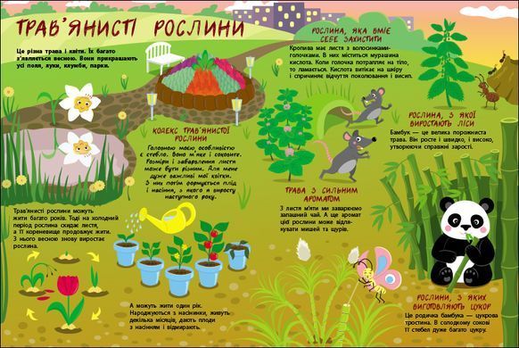 Таємне життя рослин - 3