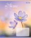 Тетрадь ученическая общая 1 Вересня Tender FlowersА5 96 листов клетка - 5