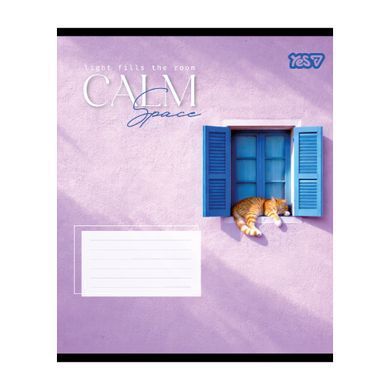 Зошит шкільний Yes Calm space А5 48 аркушів клітинка - 6