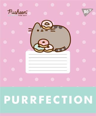 Тетрадь ученическая школьная Yes Pusheen Candy А5 12 листов линия - 3
