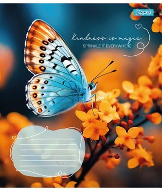Тетрадь для записей 1В Butterfly А5 48 листов линия - 4