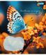 Тетрадь для записей 1В Butterfly А5 48 листов линия - 4