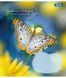 Тетрадь для записей 1В Butterfly А5 48 листов линия - 3