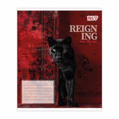 Тетрадь школьная Yes Reign ing А5 24 листов клетка - 1