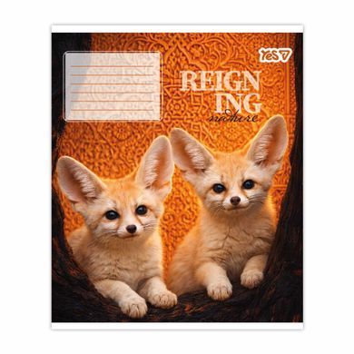 Тетрадь школьная Yes Reign ing А5 24 листов клетка - 2